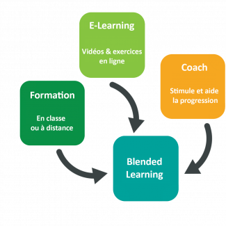 Schéma Blended Learning Blended Learning